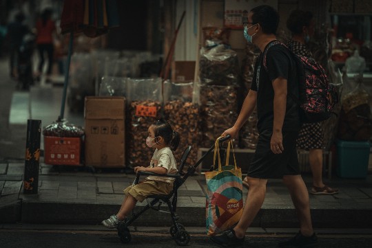 鸽子繁殖过盛？养殖专家来支招